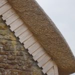 Thatch and Oak Shakes, Dorset