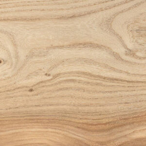 British Elm