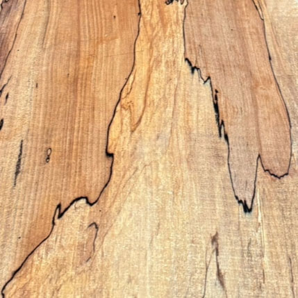 Spalted Beech